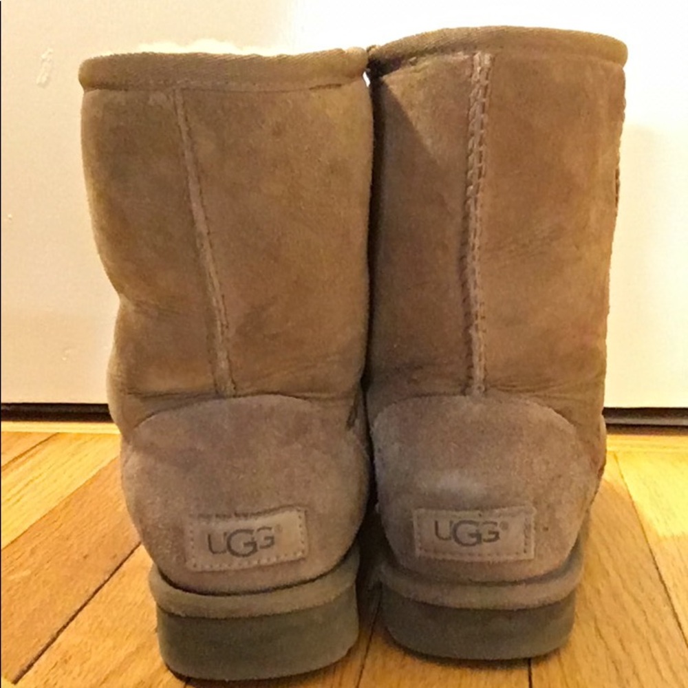 Chestnut ugg boots